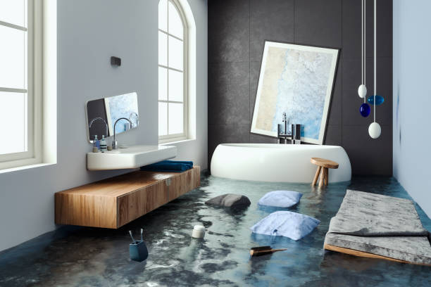 Best Water damage restoration experts  in Charleston, MO