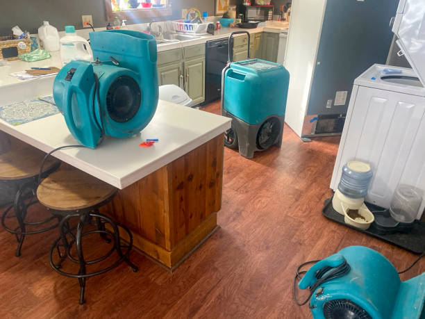 Best Commercial water damage restoration  in Charleston, MO