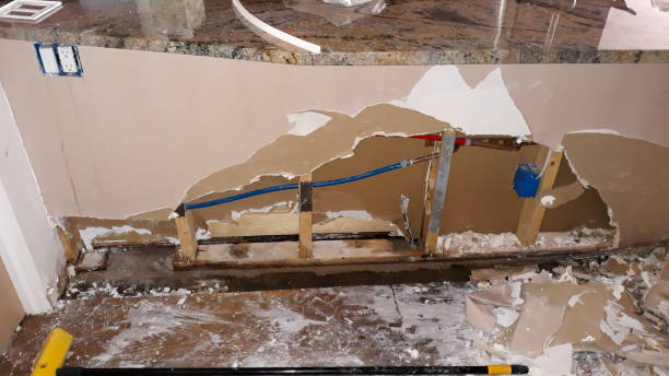 Best Mold removal after water damage  in Charleston, MO