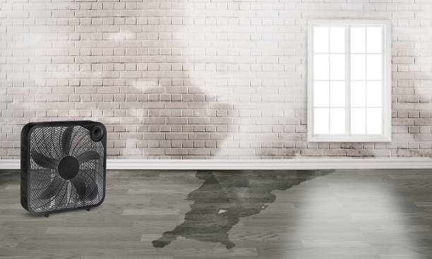 Best Flood restoration services  in Charleston, MO