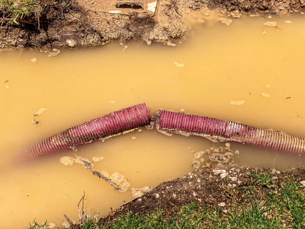 Trusted Charleston, MO Water damage restoration Experts